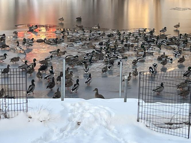 Reader Pics: Dec. 16