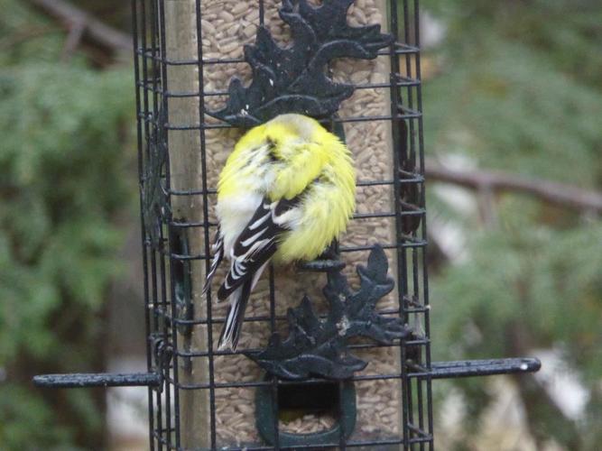 Reader Pics: April 29