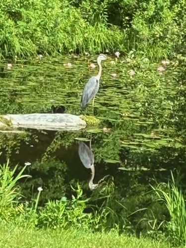 Reader Pics: July 24