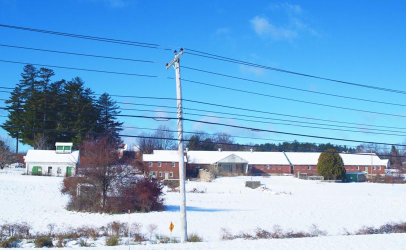 Snow-covered buildings