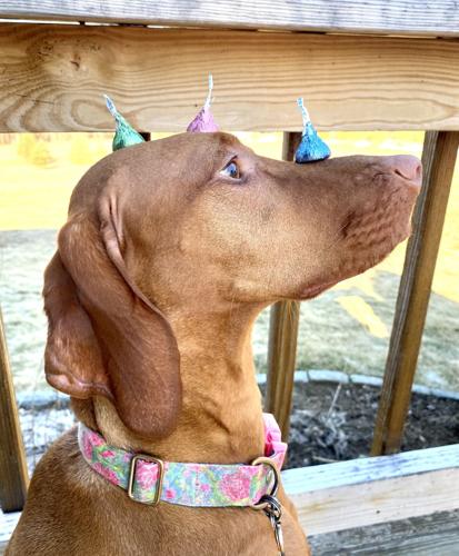 Reader Pics: April 17