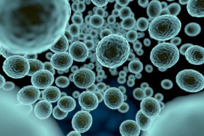 Several space missions are searching for extraterrestrial life, which could come in the form of microbes.