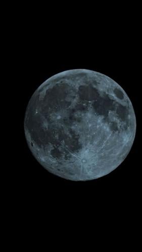 Reader Pics: Nov. 16