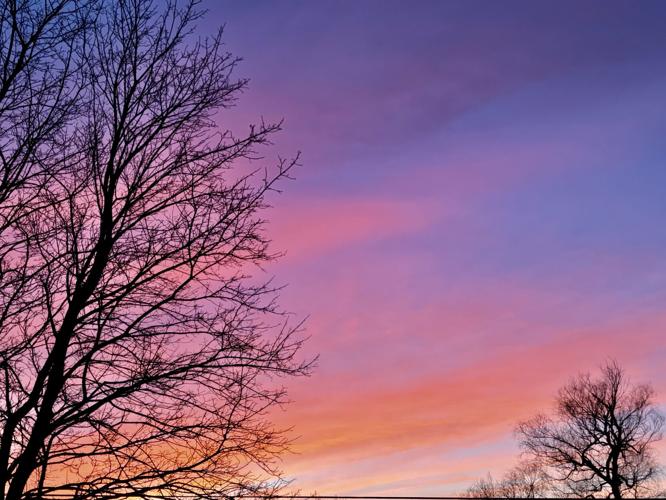 Reader Pics: April 12