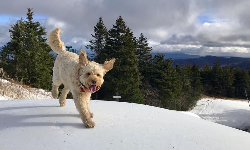 Reader Pics: Dec. 17