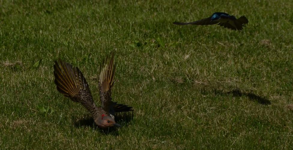 Reader Pics: June 13