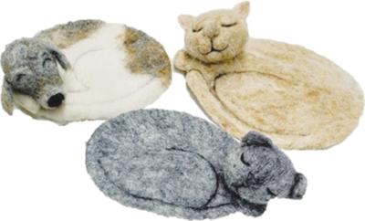 pet coaster