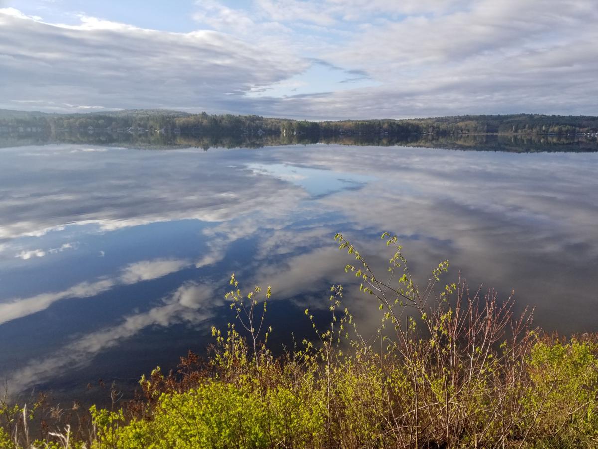 Reader Pics: May 17