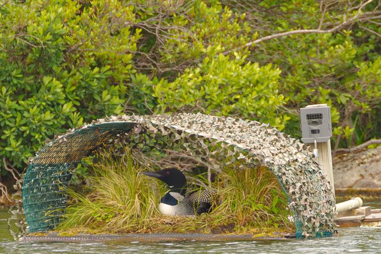 Reader Pics: June 26