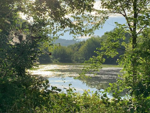 Reader Pics: Aug. 28