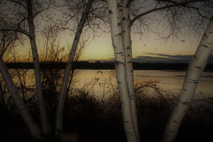 Reader Pics: April 12