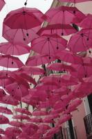 Celebrating poetry in National Poetry Month