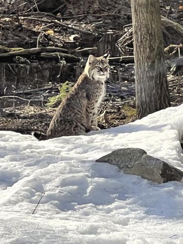 Reader Pics: April 6