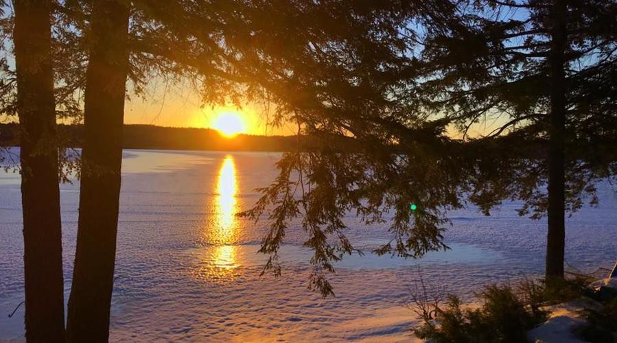 Reader Pics: March 31