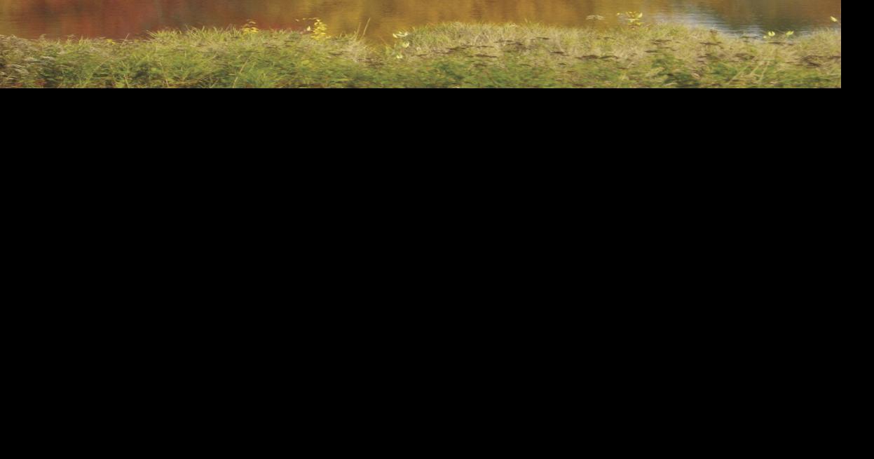 It's pumpkin season in the Lakes Region