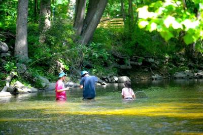 Microplastics are settling into Pennsylvania's rivers and marshes.