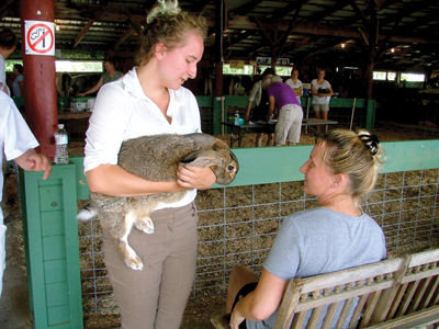 74th annual Belknap County 4-H Fair stays true to its roots
