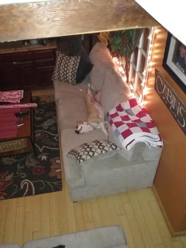 Reader Pics: Jan. 26