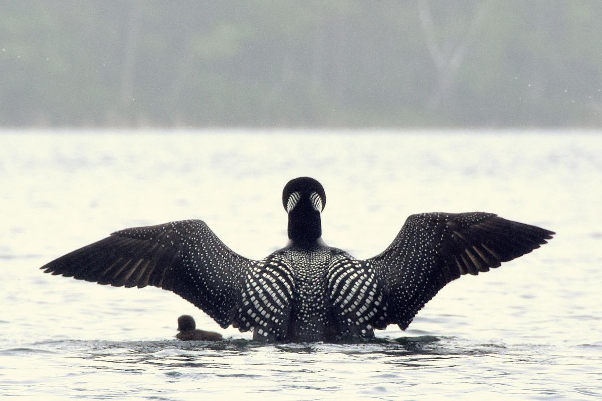 Reader Pics: July 15