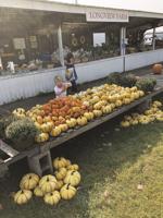 The autumn menu