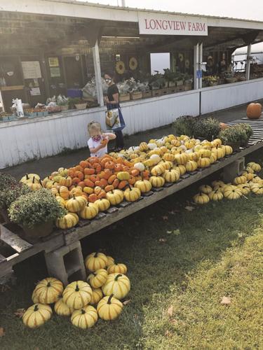 Longview Farm