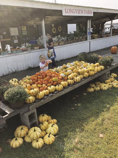 Longview Farm