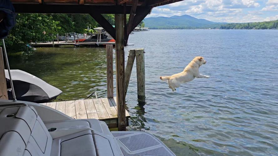 Reader Pics: July 15