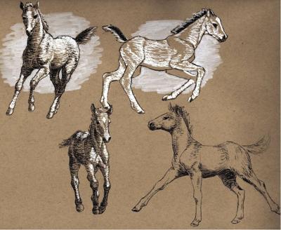 drawing class
