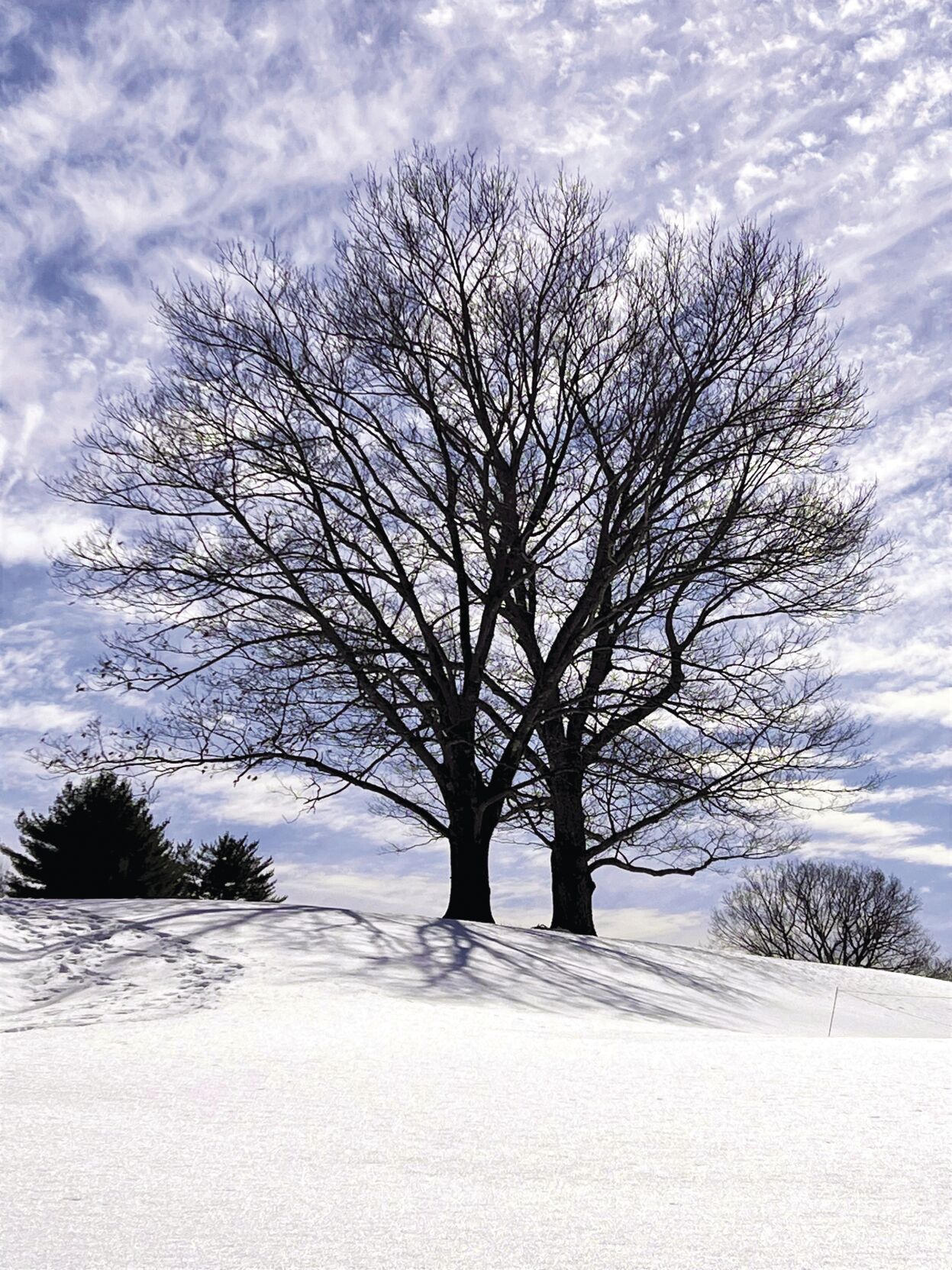 Reader Pics: March 25