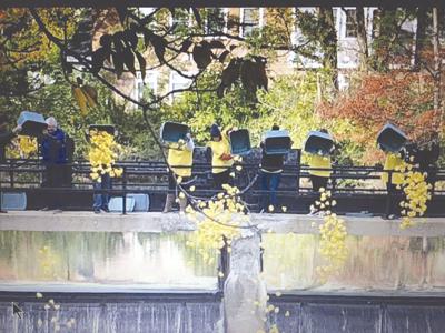 10-19 PUMPKIN dumping ducks 2019.jpg