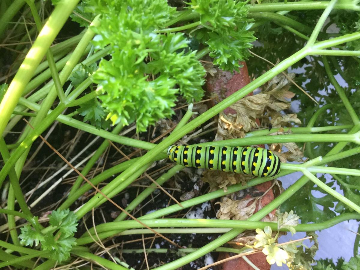 Reader Pics: July 9