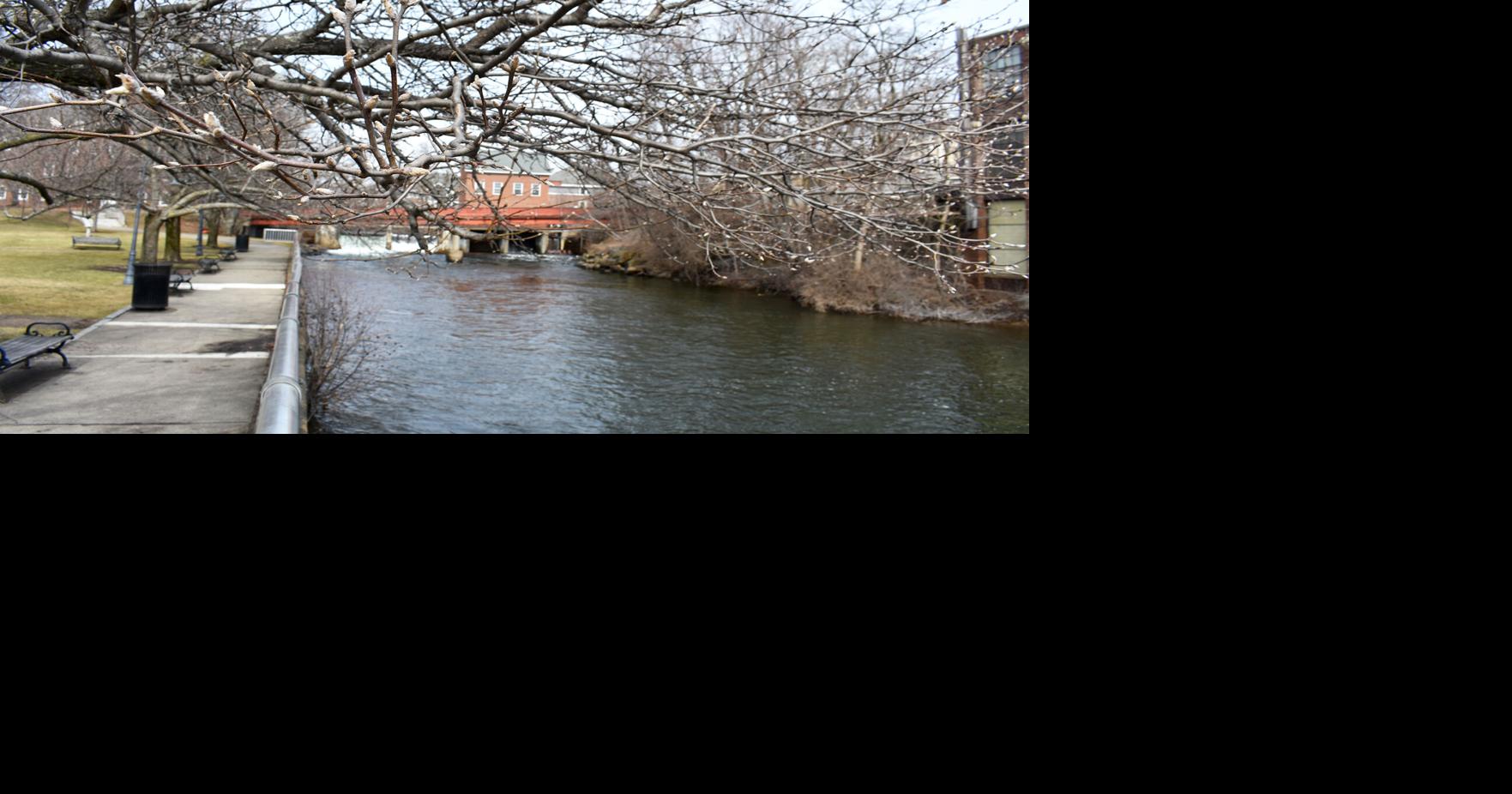 Spring is in the air