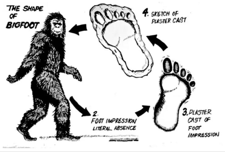 Bigfoot hunters using state of the art technology in bid to finally solve mystery