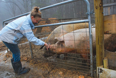 Gilmanton farmers join forces