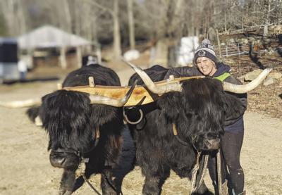 Buying more local products