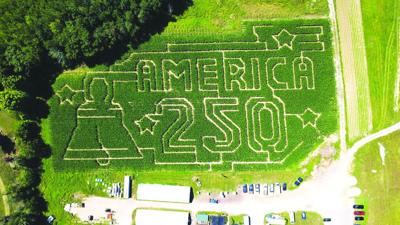 moulton corn maze