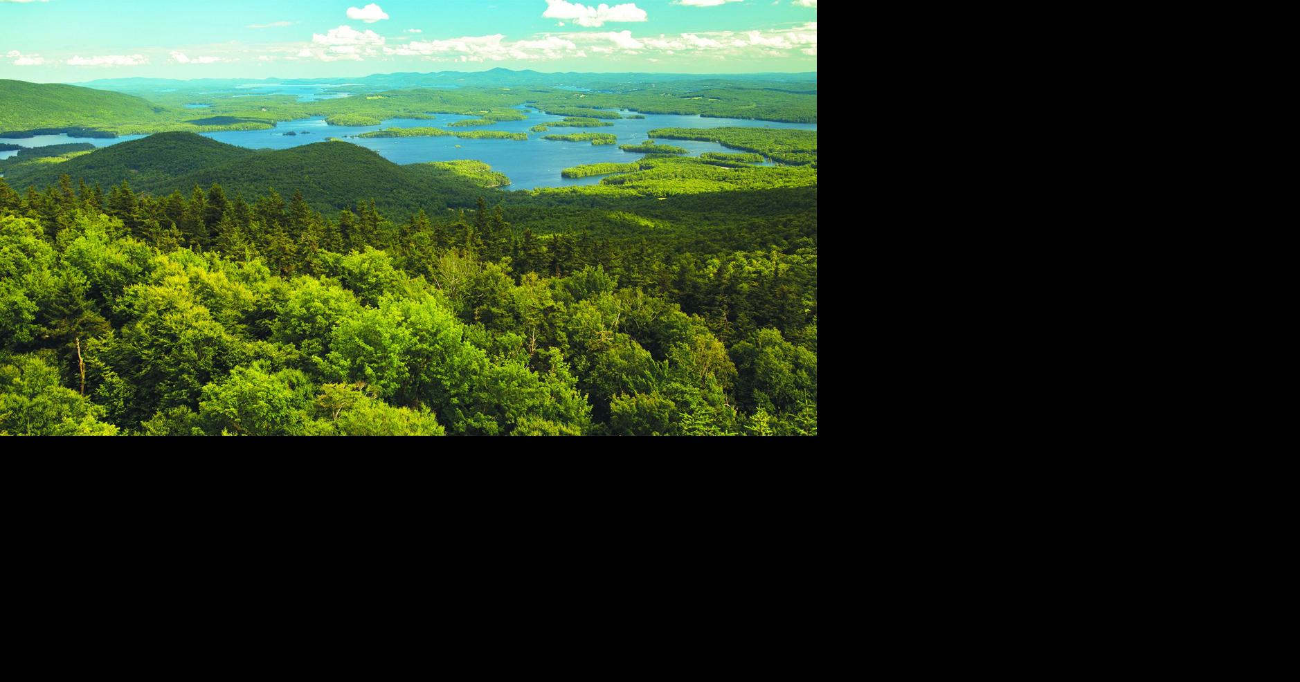 A New Hampshire real estate sales activity update