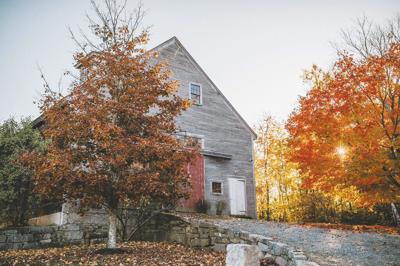 Birch Hill Farm