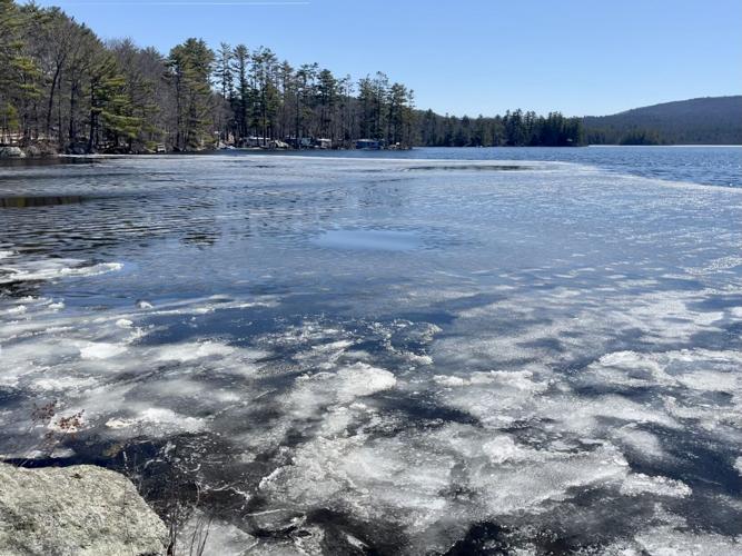 Reader Pics: April 15