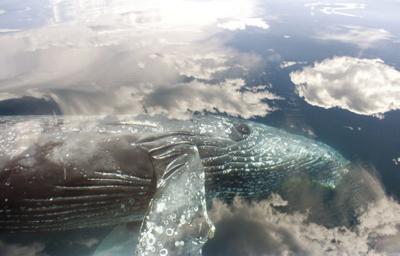 Climate Change Forum