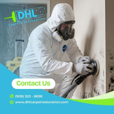 DHL Carpet & Water Damage Restoration Offers Professional Mold Remediation Services