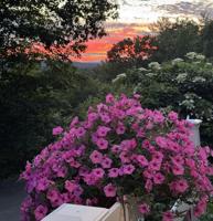 Reader Pics: June 19