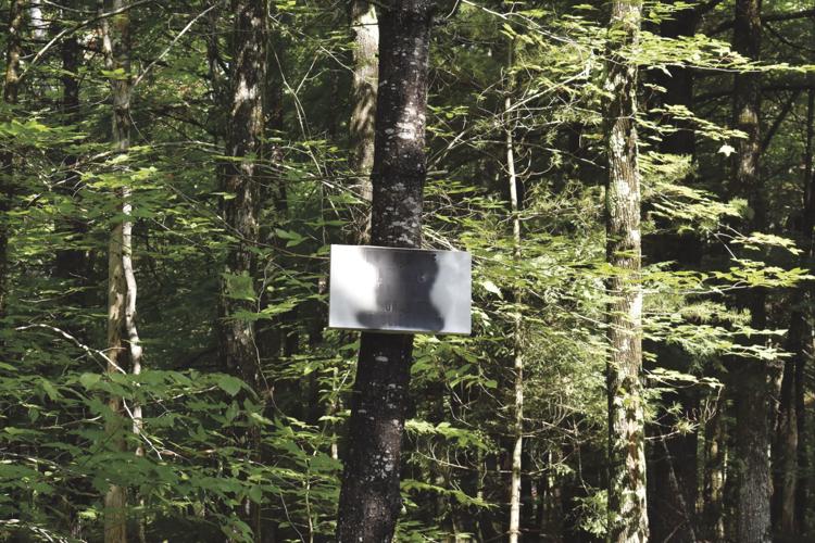 07-22 Hannah Road vandalism