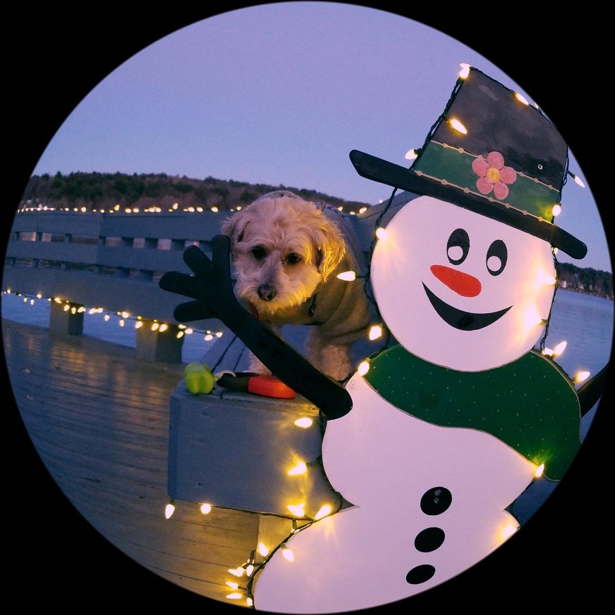 Reader Pics: Dec. 4
