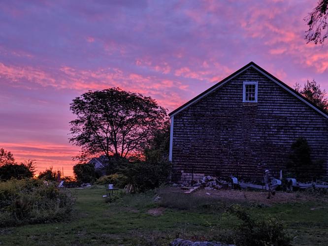 Reader Pics: Sept. 20