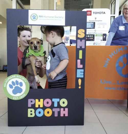 5 puppies find homes at Irwin Automotive event