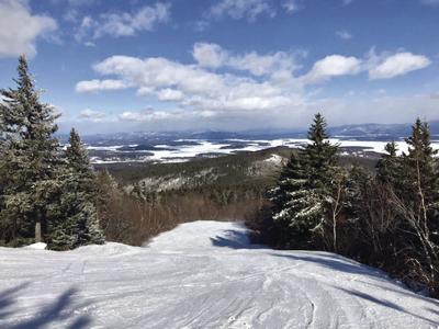 Gunstock