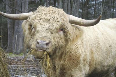 01-16 OUTDOORS Blaine2_InPixio-2.jpg