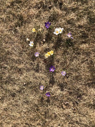 Reader Pics: April 3