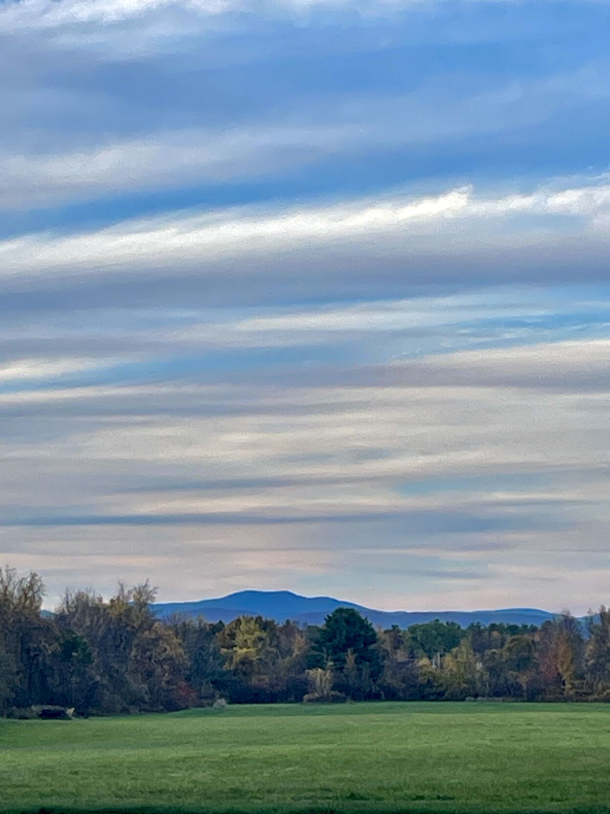 Reader Pics: Nov. 10